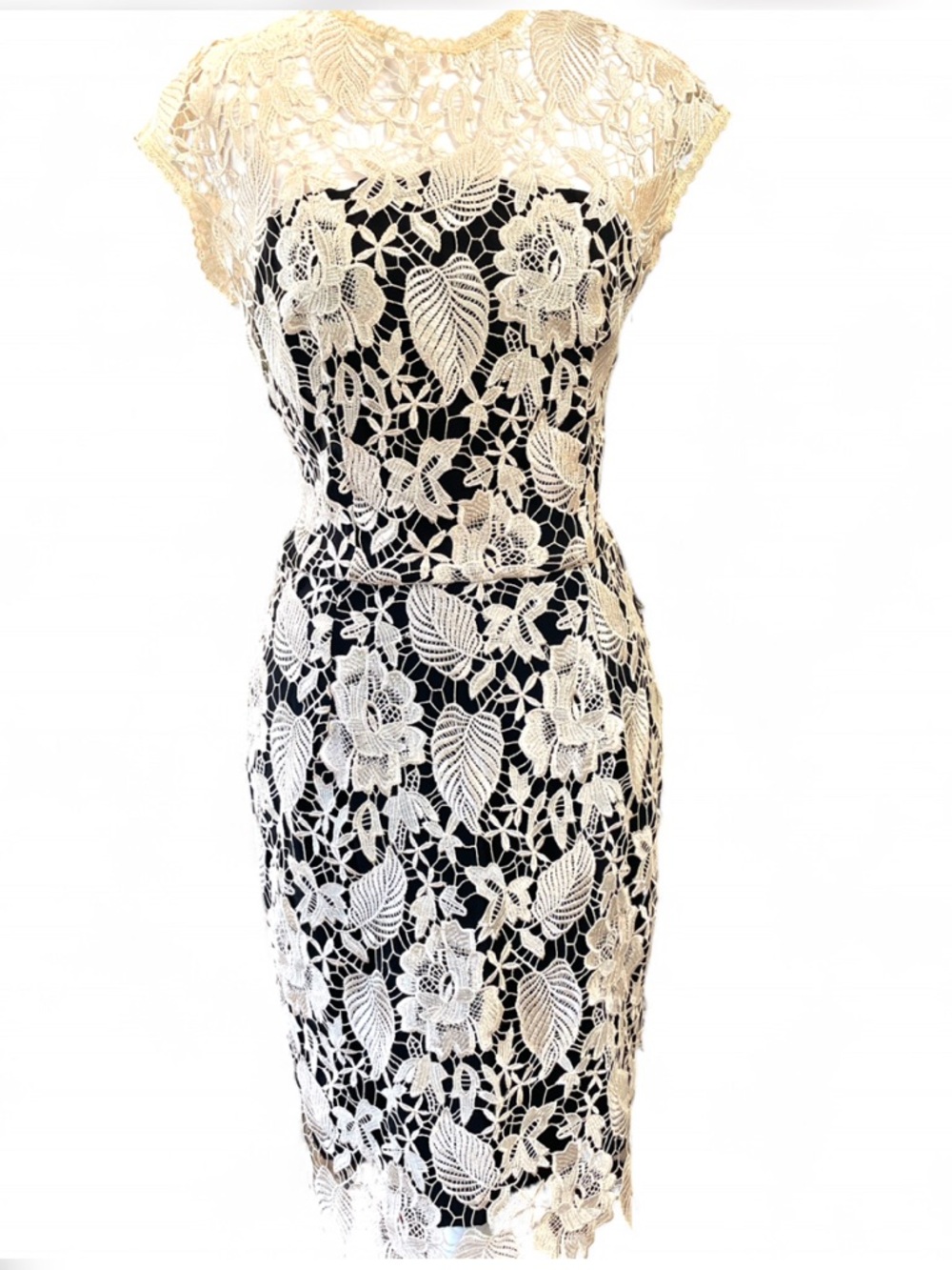 Elegant Lace Overlay Dress in Black‎ and Cream NWT